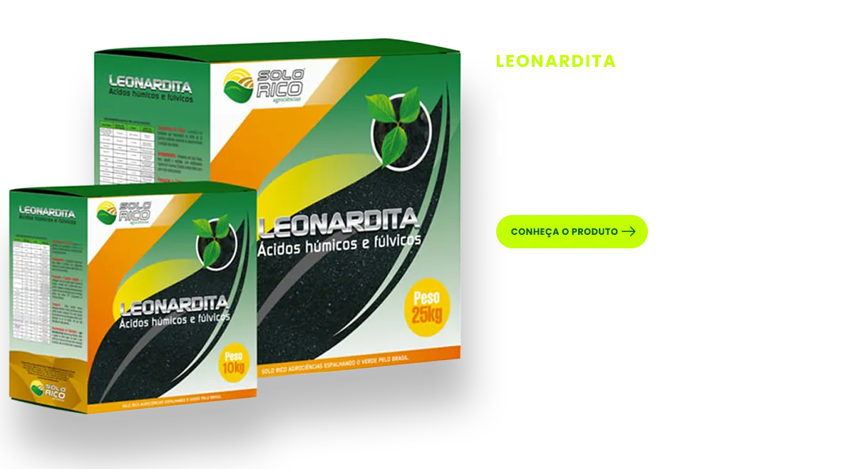 Leonardita